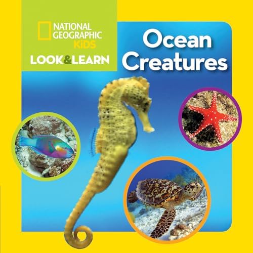 Amazon.com: National Geographic Kids Look & Learn: Peekaboo